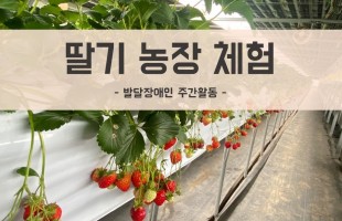 발달장애인 주간활동 딸기 농장 체험